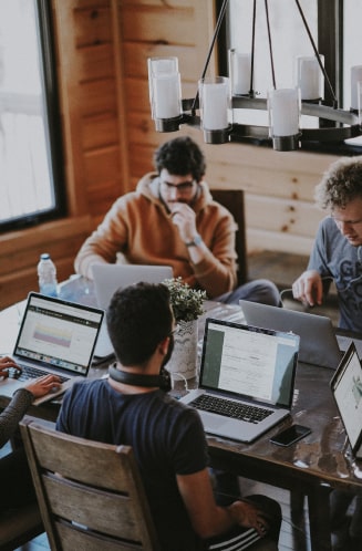 Rudbeckia/ Development